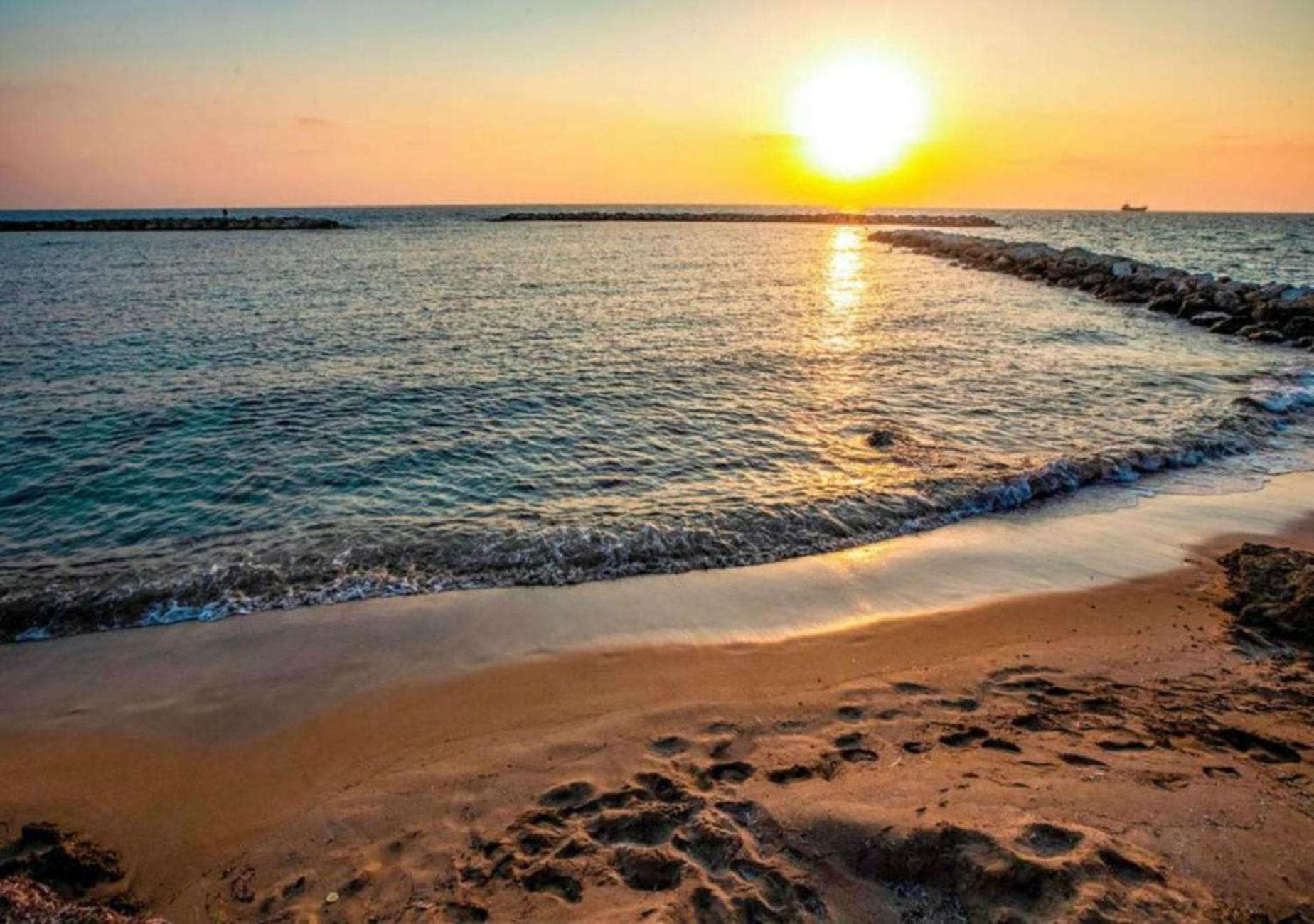 Regina Garden Ap New In Paphos! *